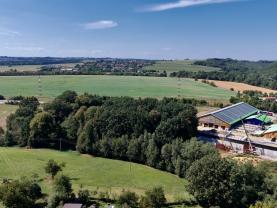 Prodej lesa, 10089 m², Olbramice