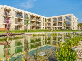 Prodej atypický byt 65 m² s lodžií 6 m², Brandýs nad Labem