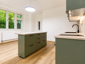 Prodej bytu 1+kk, 46 m², Praha, ul. Dlouhá