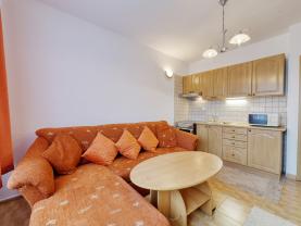 Pronájem, byt 1+kk, 20 m², Mariánské Lázně, ul. Tepelská