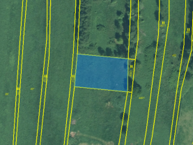 Prodej pole, 853 m², Hošťka