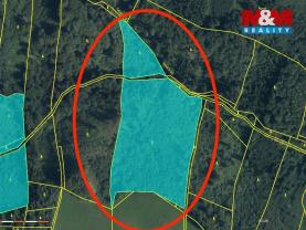 Prodej lesa, 29330 m², Horní Studénky