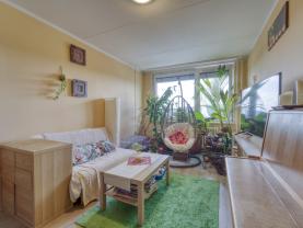 Prodej bytu 2+kk, 43 m², Praha, ul. K dolům