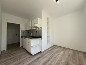 Pronájem bytu 1+1, 42 m², Karviná - Ráj, ul. Borovského