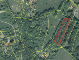 Prodej, trvalý travní porost, 2925 m2, Lopeník