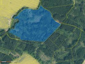 Prodej lesa, 154293 m², Milevsko