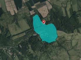 Prodej lesa, 845297 m², Kněždub