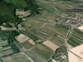 Pronájem vinice, 4000 m², Horní Věstonice