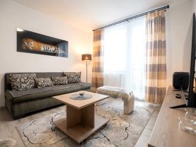 Pronájem bytu 1+1, 36 m², Radvanice