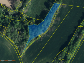Prodej lesa, 2904 m², Ronov nad Doubravou