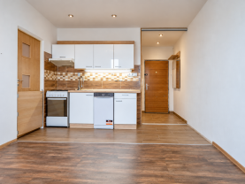 Prodej bytu 1+1, 36 m², Plzeň, ul. Sokolovská