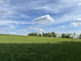 Prodej pole, 6070 m², Jestřabí v Krkonoších