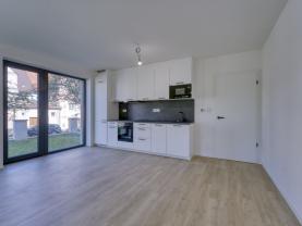 Pronájem bytu 1+kk, 40 m², Plzeň, ul. Na Průhonu