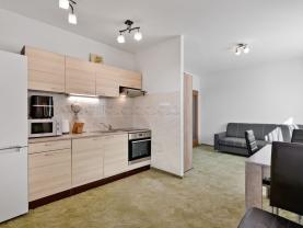 Prodej bytu 2+kk, 48 m², Liberec, ul. Nádvorní