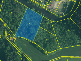 Prodej lesa, 6543 m², Římov - Branišovice