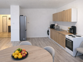 Pronájem bytu 3+1, 65 m², Most, ul. Františka Malíka