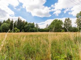 Prodej pozemku, 2903 m², Světlá Hora - Dětřichovice