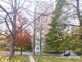 Pronájem bytu 1+1 v Ústí nad Labem, ul. Šrámkova