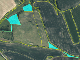 Prodej louky, 18653 m², Mašťov-Dobřenec