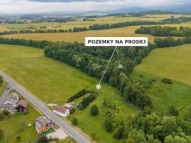 Prodej louky, 4178 m², Dětřichov
