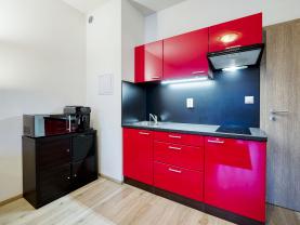 Pronájem bytu 1+kk, 33 m², Valcha, ul. Špačková