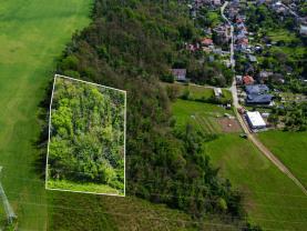 Prodej lesa, 5846 m², Vráž