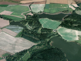 Prodej lesa, 6834 m², Dírná