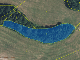 Prodej lesa, 6869 m², Vidochov