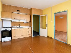 Prodej bytu 1+1, 36 m², Litvínov, ul. Čapkova
