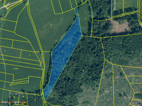 Prodej lesa, 10718 m², Kolinec