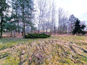 Prodej pozemku k bydlení, 2996 m², Opava - Vávrovice