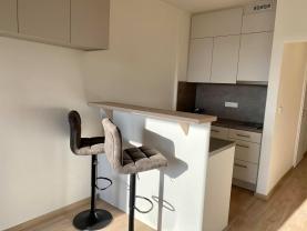 Pronájem bytu 1+kk, 24 m², Praha, ul. Peroutkova