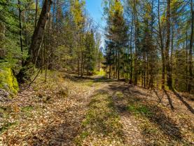 Prodej chalupy, 118 m², Tanvald