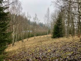 Prodej, louka, les, 5226m2, Smržovka