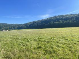Prodej pozemku k bydlení, 4460 m², Střílky