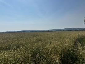 Prodej pole, 244621 m², Město Albrechtice