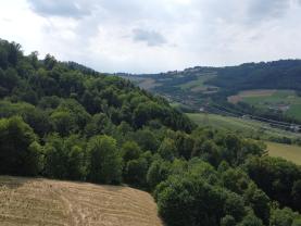 Prodej lesa, 164.841 m², Palkovice, okr. Frýdek Místek