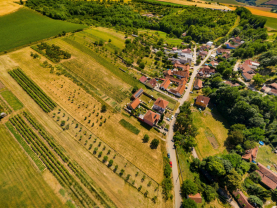 Prodej pozemku k bydlení, 7835 m², Borkovany