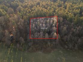 Prodej lesa v Týništi nad Orlicí