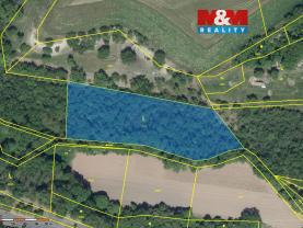 Prodej lesa, 6203 m², Lipno