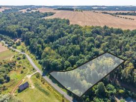 Prodej lesa, 5004 m², Tupadly