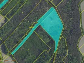 Prodej lesa, 20624 m², Svatý Mikuláš