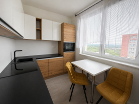 Pronájem bytu 1+1, 41 m², Ostrava, ul. Vietnamská