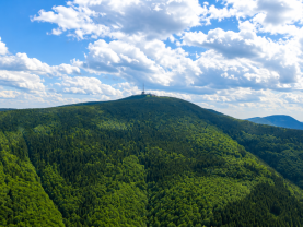 Prodej chalupy, 320 m², Krásná
