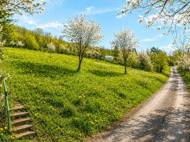 Prodej zahrady, 394 m², Postoloprty