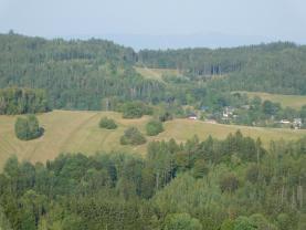 Prodej lesa 4932 m2 ve Skuhrově