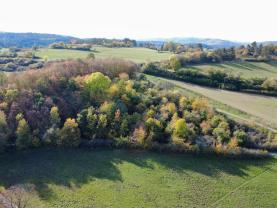 Prodej ovocného sadu, 4731 m², Milešov nad Vltavou