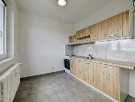 Pronájem bytu 1+1, 39 m², Cheb, ul. Dvořákova
