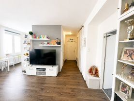 Prodej bytu 2+1, 51 m², Ostrava - Poruba, ul. Ľudovíta Štúra