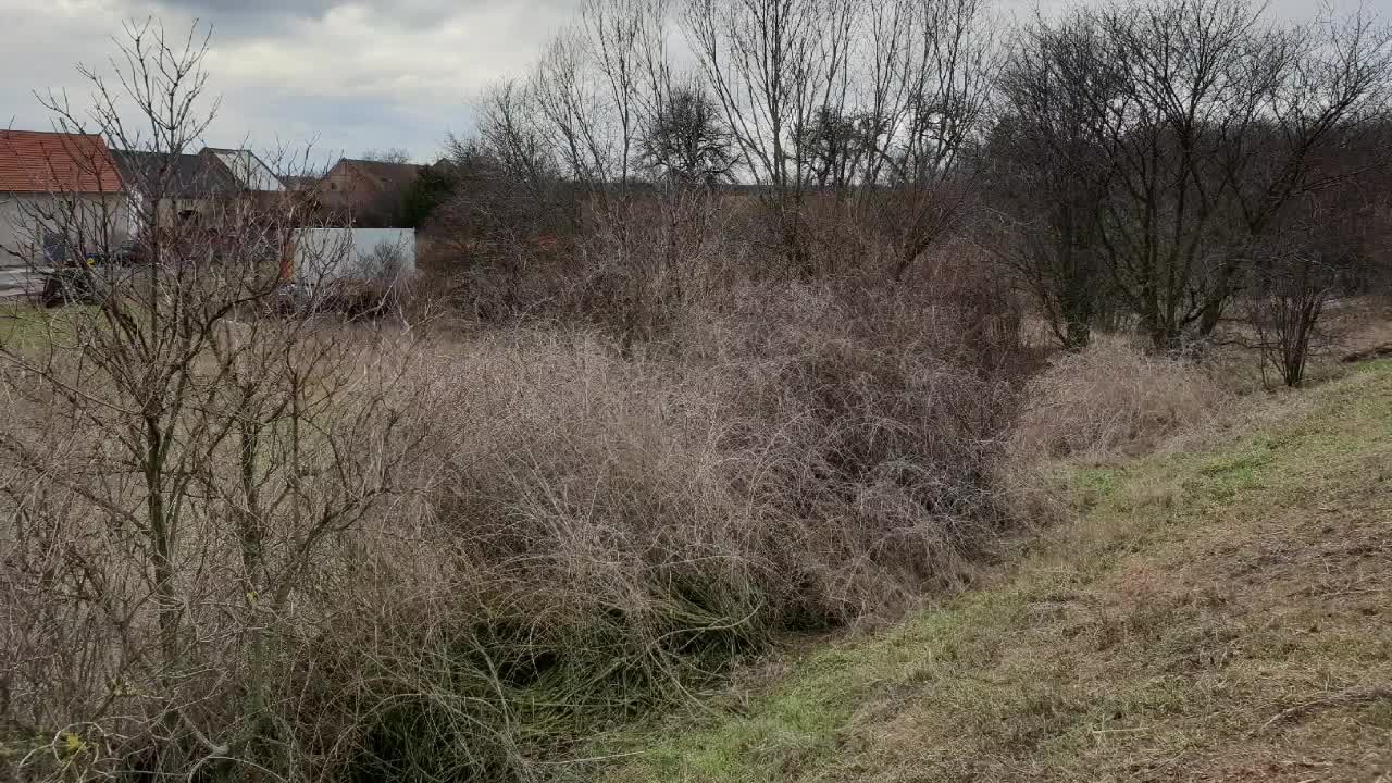 Prodej, stavební parcela, 3097 m2, Strupčice - Sušany